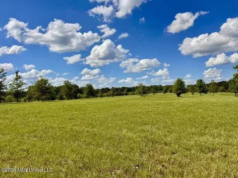 0014 Windermere Blvd, Madison, MS 39110 photo 10