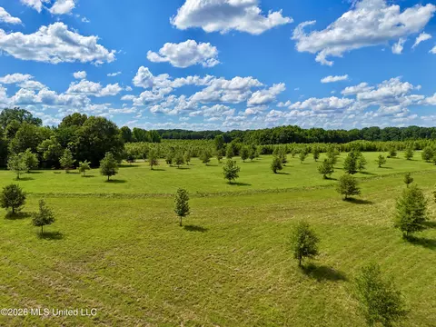 0014 Windermere Blvd, Madison, MS 39110
