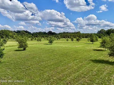 0014 Windermere Blvd, Madison, MS 39110 photo 7