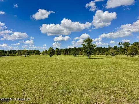 0014 Windermere Blvd, Madison, MS 39110 photo 2