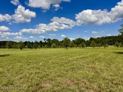 0014 Windermere Blvd, Madison, MS 39110 photo 16
