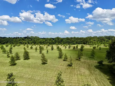 0014 Windermere Blvd, Madison, MS 39110 photo 13