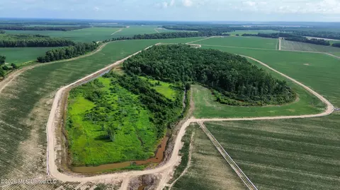 County Road 430, Sidon, MS 38954
