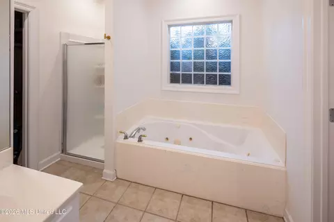 Bath - 206 Pinevale St, Flowood, MS 39232 photo 1 of 2