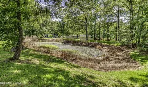 Other - 4151 Kimbell Rd, Terry, MS 39170 photo 15 of 16