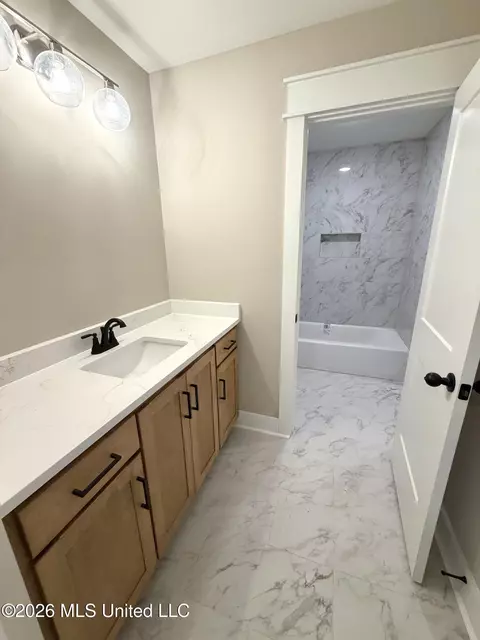 Bath - 4365 Edison Dr, Nesbit, MS 38651 photo 6 of 6