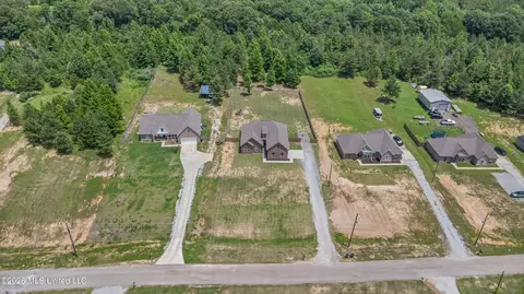 View/Area - 123 Deerfield Trce, Coldwater, MS 38618 photo 2 of 4