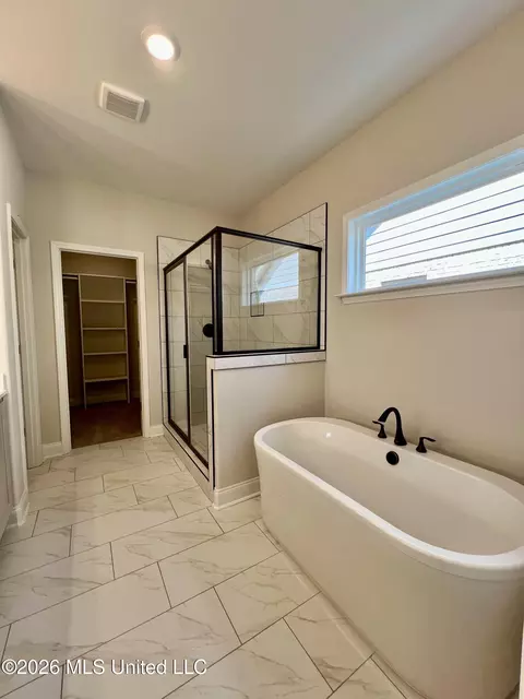 Bath - 2253 Scott Mdws Ln, Hernando, MS 38632 photo 4 of 6
