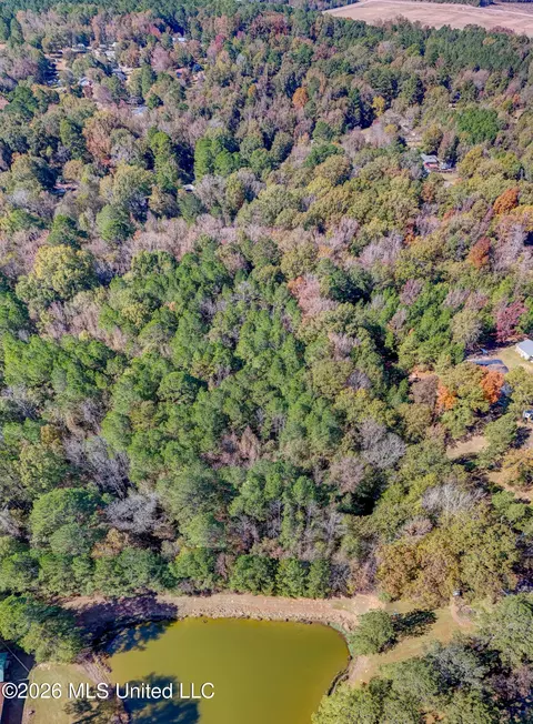 Brenmar Street, Brandon, MS 39042 photo 2