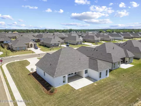 View/Area - 449 Aurora Cir, Canton, MS 39046 photo 4 of 4