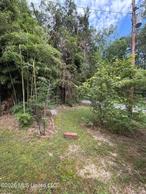Exterior - 118 Canterbury Rd, Brandon, MS 39042 photo 13 of 22