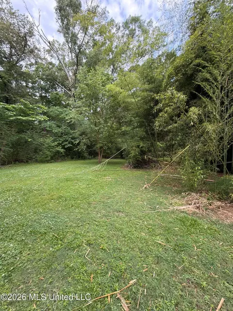 Exterior - 118 Canterbury Rd, Brandon, MS 39042 photo 20 of 22