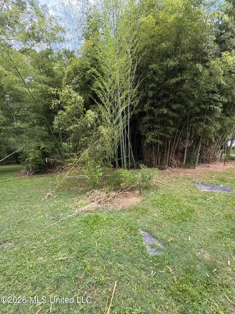 Other - 118 Canterbury Rd, Brandon, MS 39042 photo 4 of 20