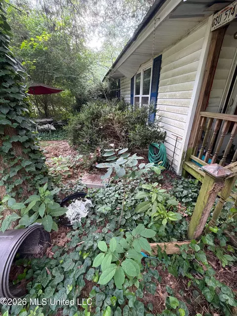 Exterior - 118 Canterbury Rd, Brandon, MS 39042 photo 11 of 22