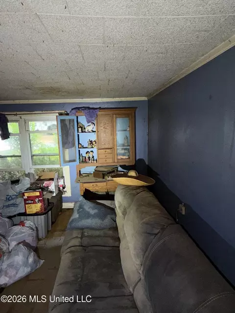 Other - 118 Canterbury Rd, Brandon, MS 39042 photo 9 of 20