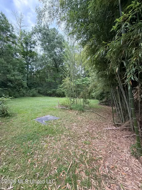 Exterior - 118 Canterbury Rd, Brandon, MS 39042 photo 18 of 22