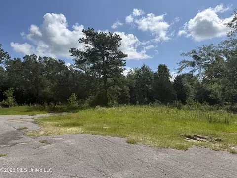 22280 Success Rd, Saucier, MS 39574 photo 3
