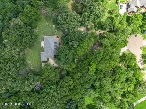 View/Area - 404 Locust Cv, Madison, MS 39110 photo 1 of 1