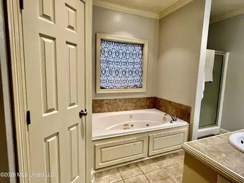 Bath - 211 Tucker Dr, Brandon, MS 39042 photo 1 of 2