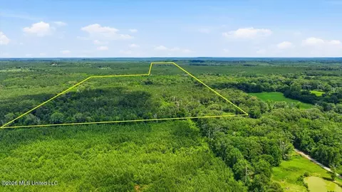 Blackwell Drive, Forest, MS 39074 photo 3