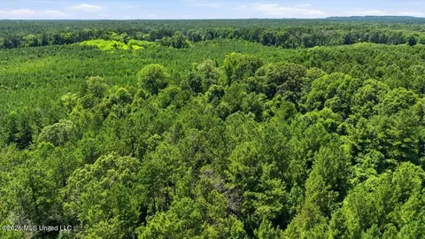 Blackwell Drive, Forest, MS 39074 photo 17