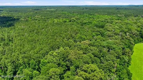 Blackwell Drive, Forest, MS 39074 photo 13