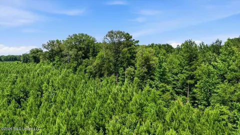 Blackwell Drive, Forest, MS 39074 photo 21