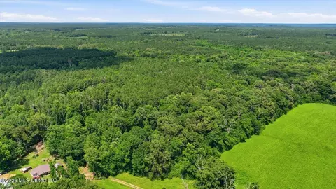 Blackwell Drive, Forest, MS 39074 photo 12