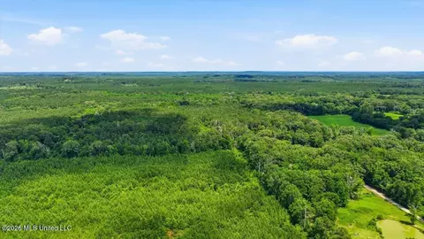 Blackwell Drive, Forest, MS 39074 photo 7