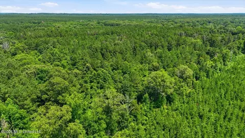 Blackwell Drive, Forest, MS 39074 photo 18