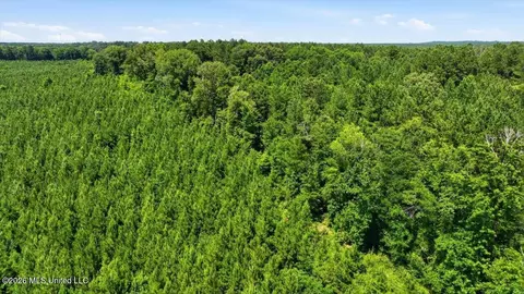 Blackwell Drive, Forest, MS 39074 photo 19