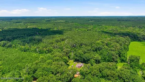 Blackwell Drive, Forest, MS 39074 photo 11