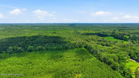 Blackwell Drive, Forest, MS 39074 photo 8