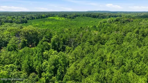 Blackwell Drive, Forest, MS 39074 photo 14