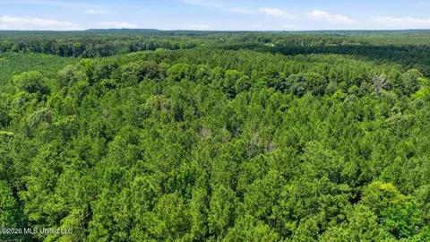 Blackwell Drive, Forest, MS 39074 photo 16