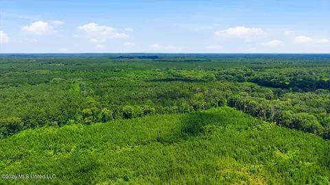 Blackwell Drive, Forest, MS 39074 photo 5