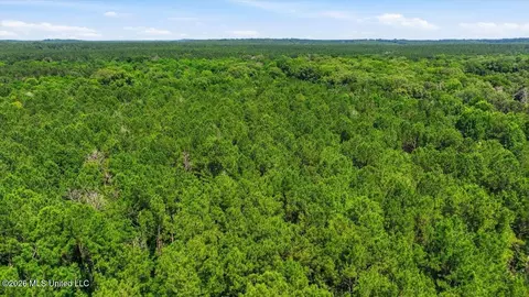 Blackwell Drive, Forest, MS 39074 photo 15