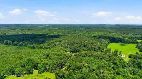 Blackwell Drive, Forest, MS 39074 photo 10