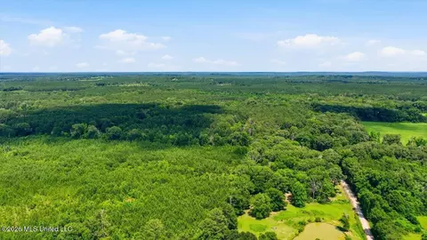 Blackwell Drive, Forest, MS 39074 photo 9