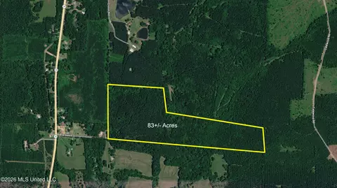 Blackwell Drive, Forest, MS 39074 photo 4