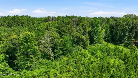 Blackwell Drive, Forest, MS 39074 photo 20