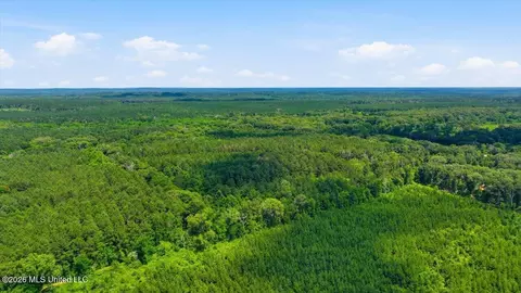 Blackwell Drive, Forest, MS 39074 photo 6