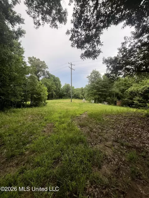 Longtown Road, Sarah, MS 38665 photo 3