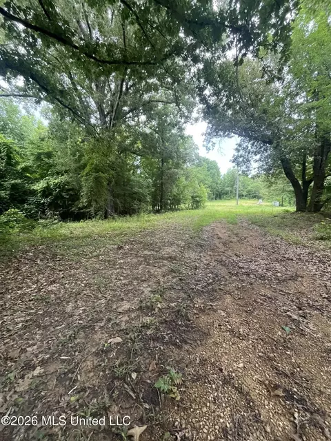 Longtown Road, Sarah, MS 38665 photo 8
