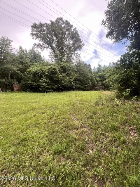 Longtown Road, Sarah, MS 38665 photo 2