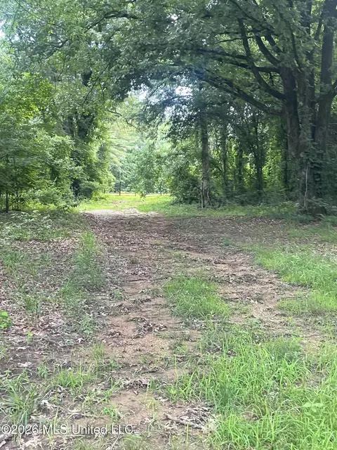Longtown Road, Sarah, MS 38665