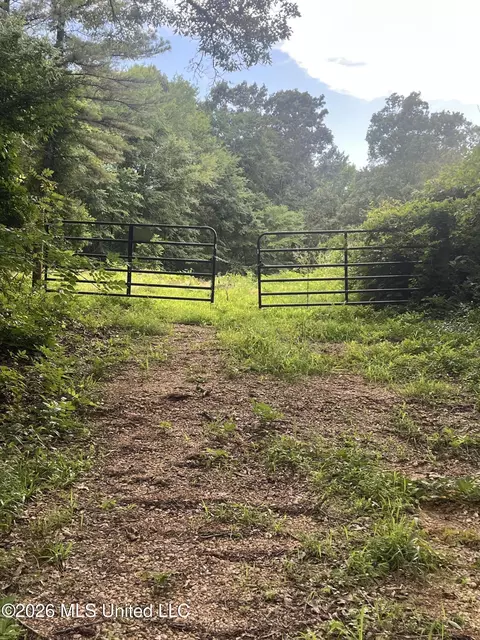 Longtown Road, Sarah, MS 38665 photo 5