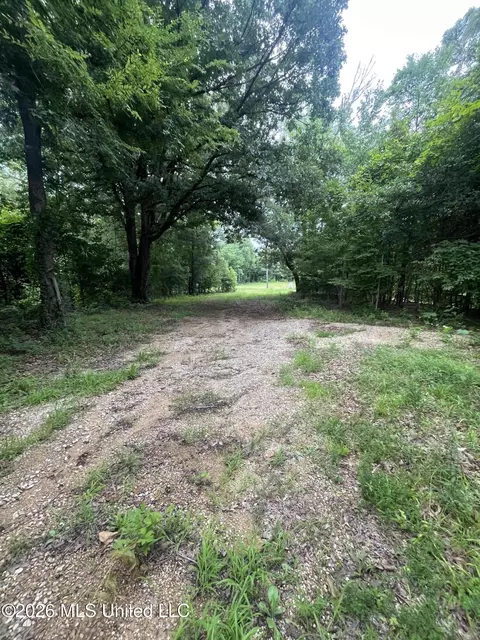 Longtown Road, Sarah, MS 38665 photo 4