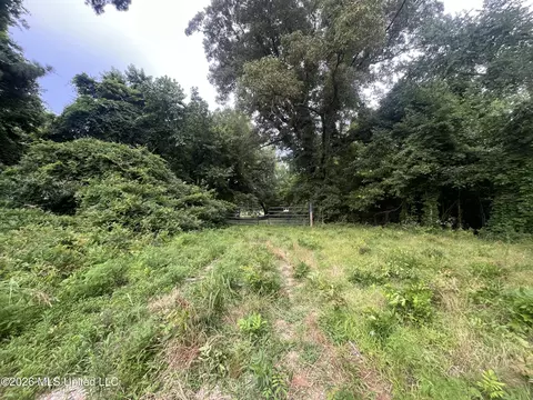 Longtown Road, Sarah, MS 38665 photo 6
