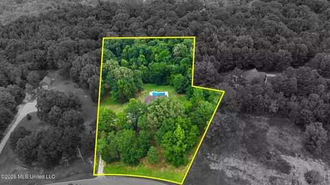 View/Area - 8980 Kerri Ruth Rd, Hernando, MS 38632 photo 2 of 2